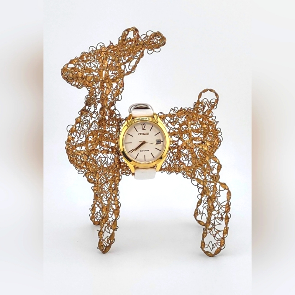 Citizen Women's Stiletto Eco-drive Watch